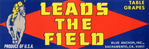 Leads The Field